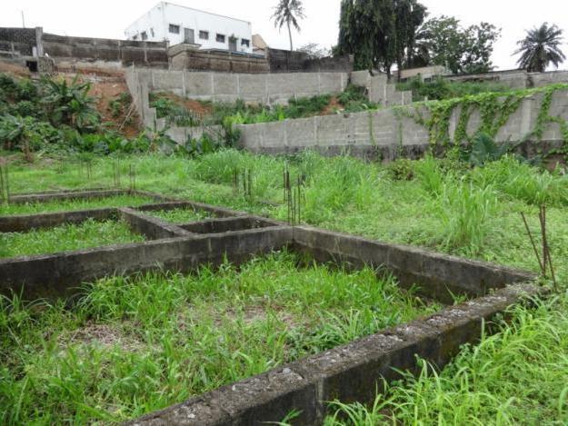 building foundation survey