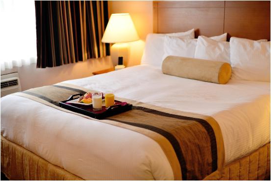 guest house business plan