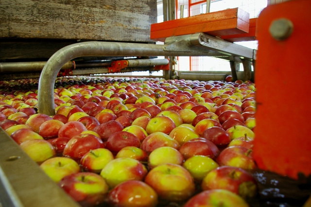 apple processing methods