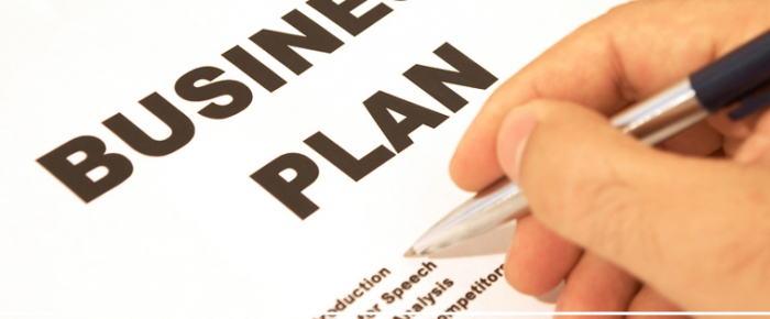 producer business plan