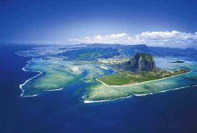 profitability travel agency