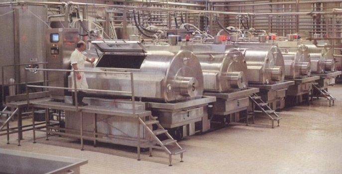 cheese making enzymes