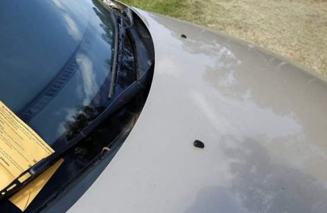 lawn parking article coap