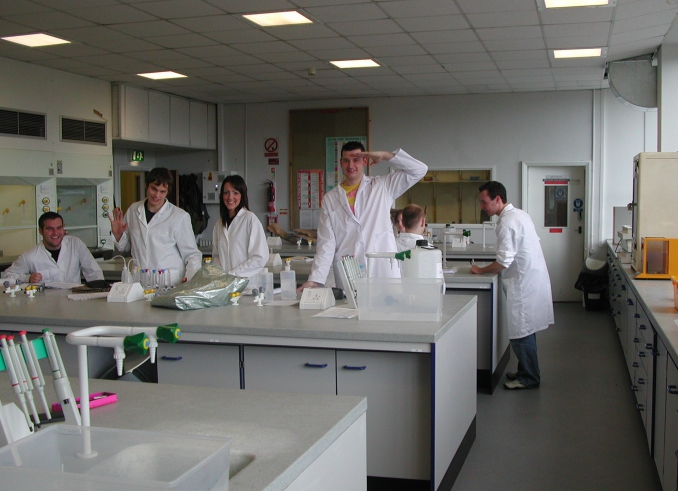 knowingly false expert opinion