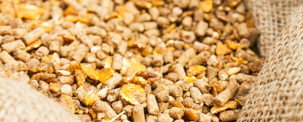 selection of an extruder for the production of animal feed