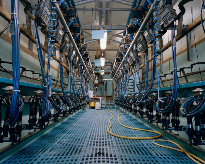 increase milk production