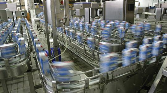 milk production in Russia