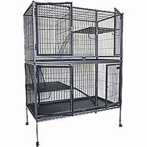 chinchilla breeding farm