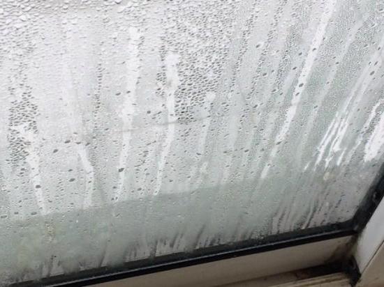 humidity in the living room is normal