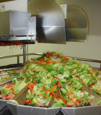 Salad producers in Moscow