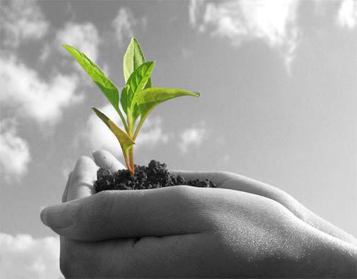 what is more profitable LPH or peasant farms