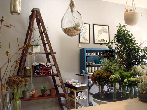 equipment for a flower salon