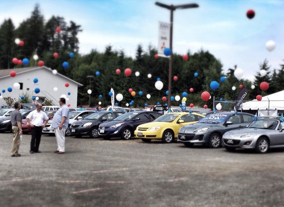 Distribution company business plan