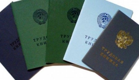 Instructions for filling out work books