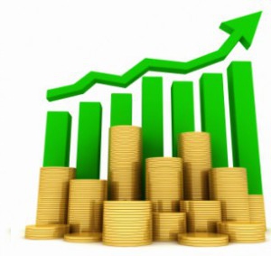 Preference Share Dividend