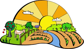 Total shared ownership of an apartment