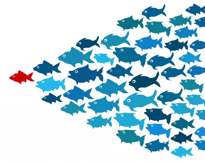 categories of standards