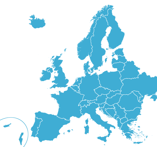 Organization process principles
