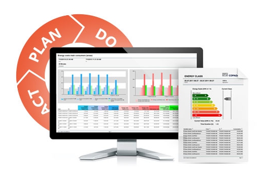 Labor Organization Standards