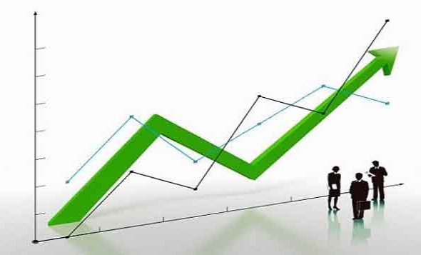 Management Reporting Principles