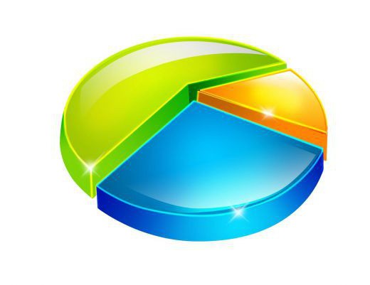 Functions of Local Budgets