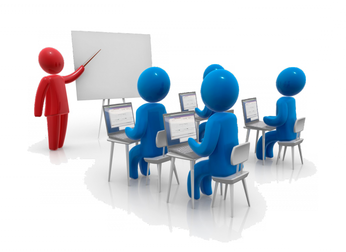 organization management approaches