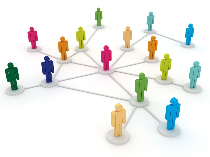 organizational structure of management