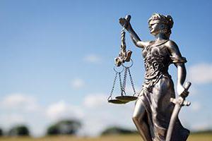 rights and obligations of persons involved in the case