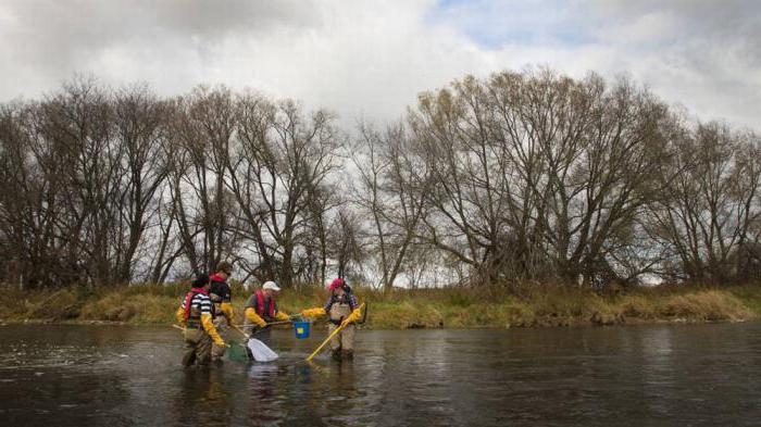 water protection zones of water bodies