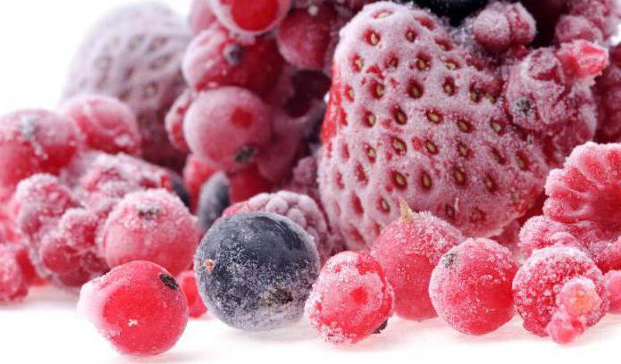 shock freezer cabinet