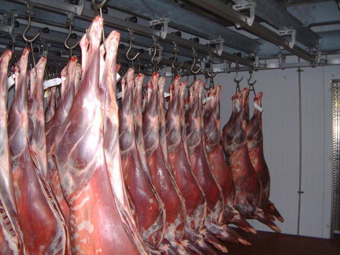 shock freezing products