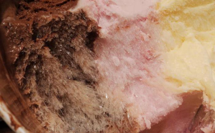 shock frozen dumplings