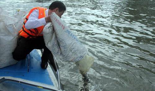 carp diseases and their treatment