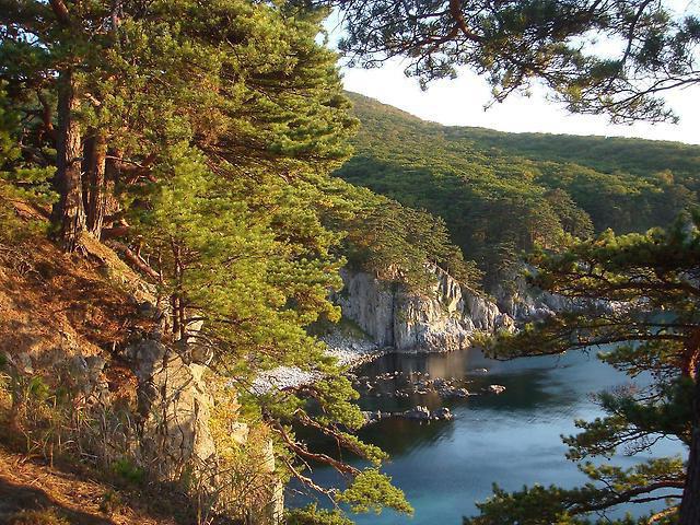 Lazovsky State Nature Reserve