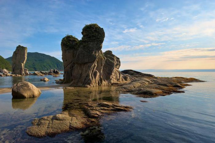 Lazovsky Kaplanov State Nature Reserve