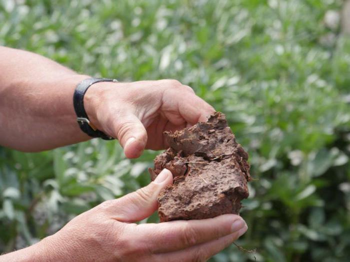 sand and clay mining