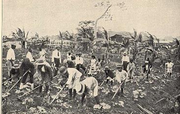 social control concept kinds of functions