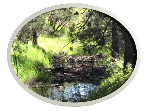 state land monitoring is