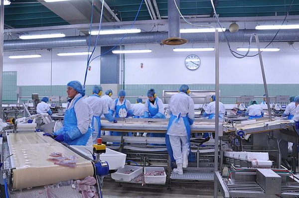 occupational hygiene and sanitation