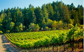 demarcation of state property