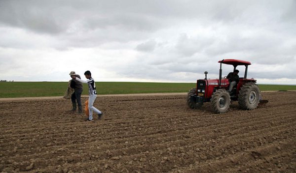 litigation in land disputes