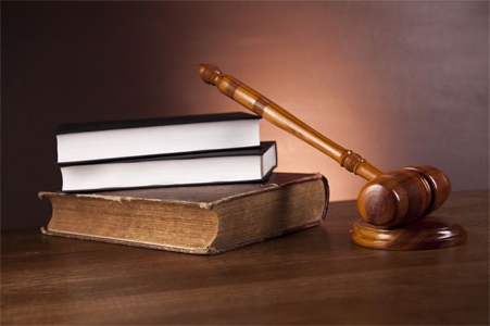 goals and principles of family law