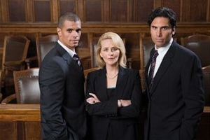 job description lawyer housing and communal services