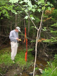 land cadastre and monitoring
