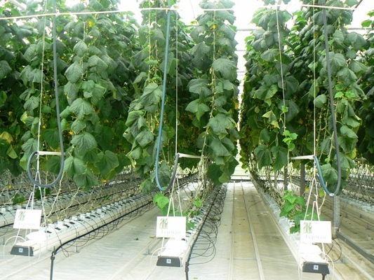 land monitoring tasks