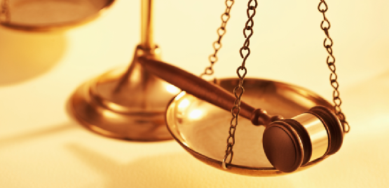 subsidiary liability ltd