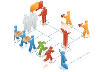 standardization principles are