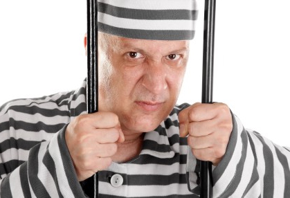 the court's decision