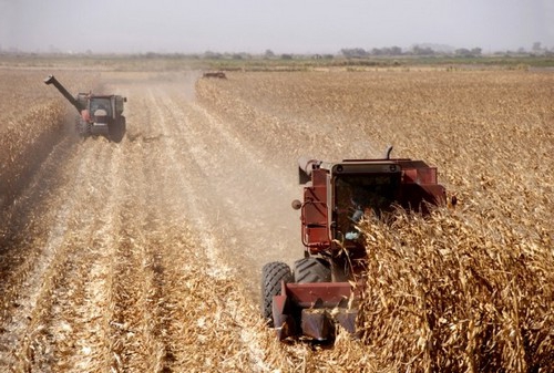 purpose of use of land