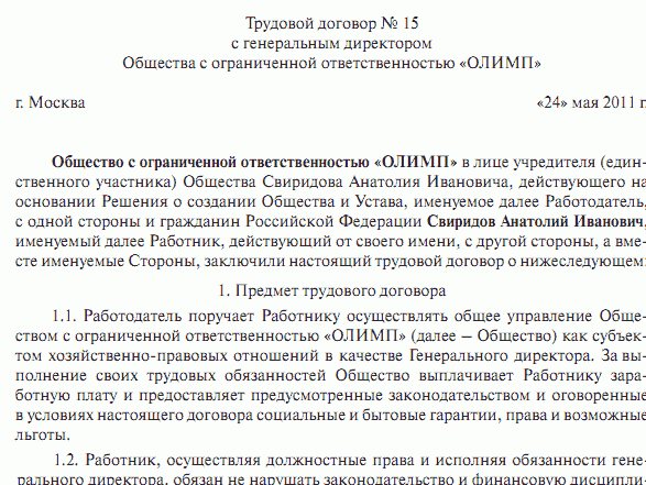 employment contract with the CEO founder founder sample